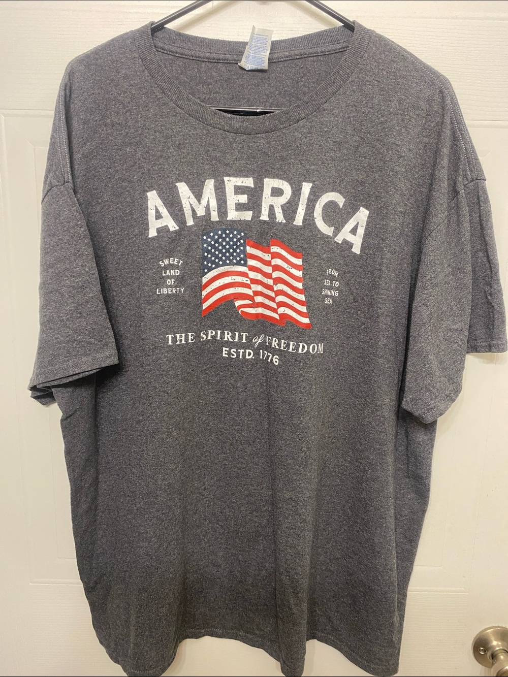 Delta Pro Weight Men's America Flag Graphic Tee Size 2XL